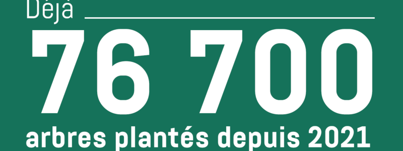Extrait de la communication sur "100 000 arbres"