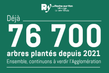 Extrait de la communication sur "100 000 arbres"